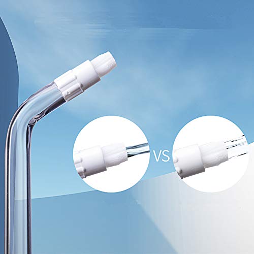 Replacement Heads for Waterpik, Replacement Picks for Water Pik Water Flosser (10 Tips & Storage Case), Water Flosser Replacement Tips for Waterpik WP-663 WP-150 WP-660 WP-580 wp-150w wp667w WP-140