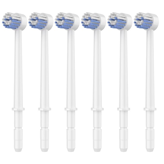 Replacement Heads for Waterpik, Replacement Picks for Water Pik Water Flosser (6 Toothbrush Tips)