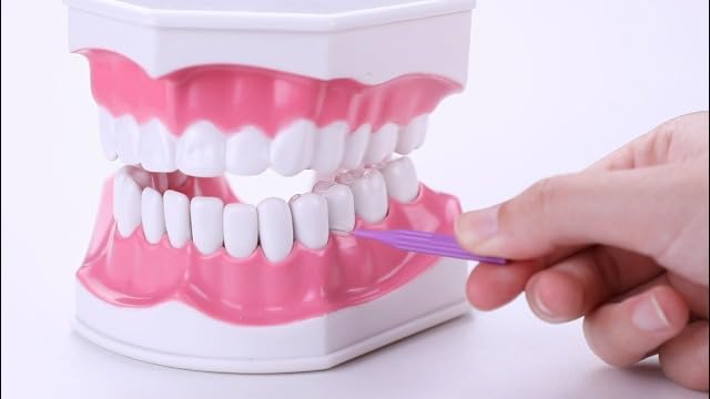 Patelai 100 Pieces Braces Brush for Cleaner Interdental Brush Toothpick Dental Flossing Head Oral Hygiene Flosser Tooth Cleaning Tool (Gray)