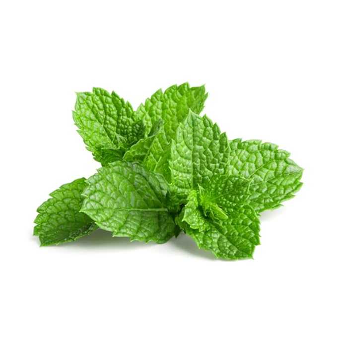Lynginya Spearmint Tea, 120 Tea Bags - Premium Spearmint Leaves - Natural Herbal Tea - Refreshing & Minty - No Sugar & No Caffeine