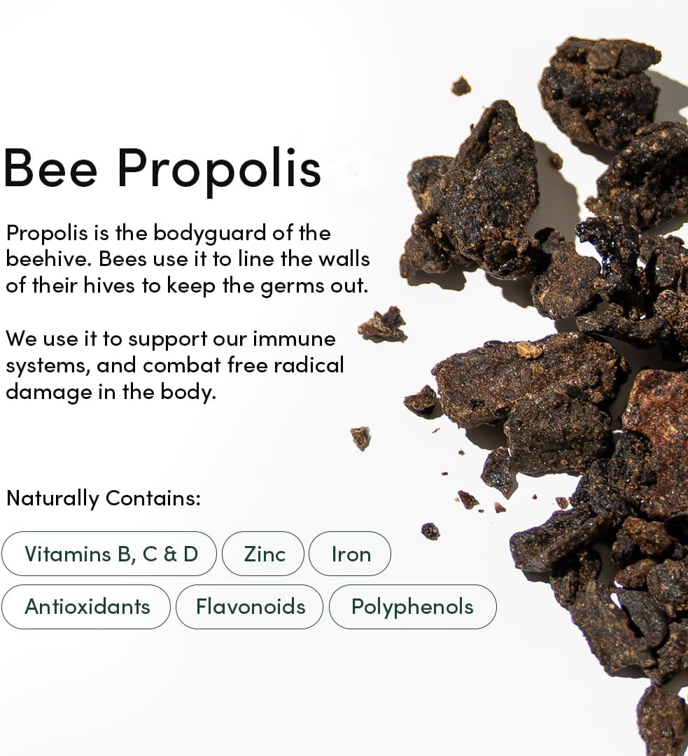 Beekeeper's Naturals Nasal Spray for Adults with Propolis, Xylitol & Saline, Clears Nasal Congestion, Moisturizes Sinus Canal, & Decongest Sinus Cavities, 1 fl oz