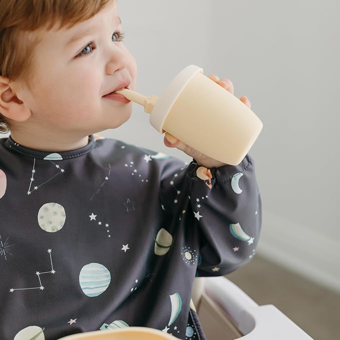 Loulou Lollipop Long Sleeve Mess Free Waterproof Bibs, for baby boys and girls 6-36 Months, Machine Washable, Travel Friendly