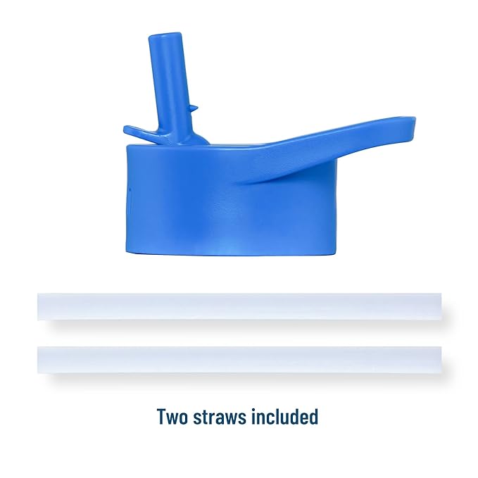 Wildkin Kids 16 Oz Water Bottle – BPA-Free Tritan, Leak-Proof Lid, Durable & Easy to Clean - Dinosaur Land