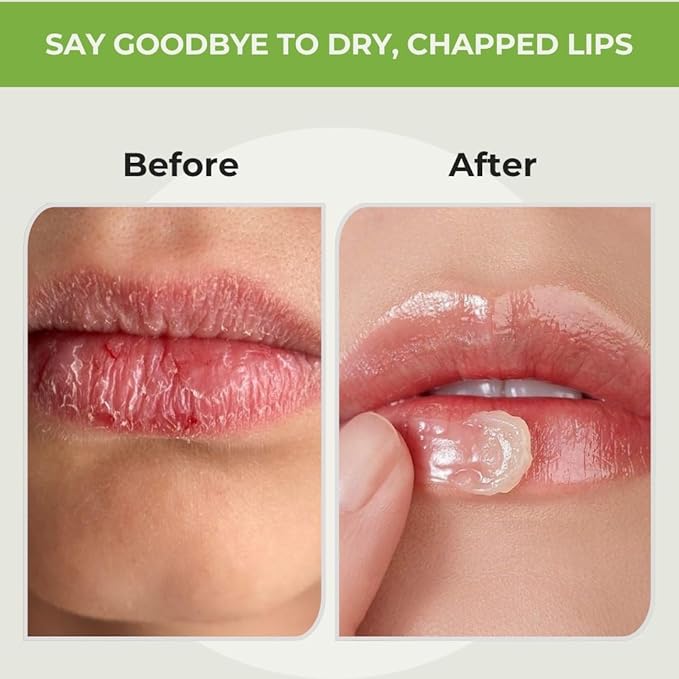 RaGaNaturals Natural Unscented Lip Balm - Original Beeswax, Shea Butter, Jojoba Oil, Vitamin E - 4 Pack Unflavored Chapstick for Dry & Cracked Lips - Christmas Stocking Stuffers - Handmade in USA