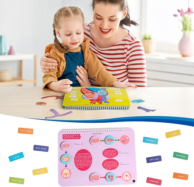 Freebear Montessori Busy Book for Kids, Human Body Anatomy Book for Toddlers, Preshool Kindergarten Learning Activities, Autism Sensory Toys, Gifts for Girls and Boys 4 5 6 7 Years - Human Body System