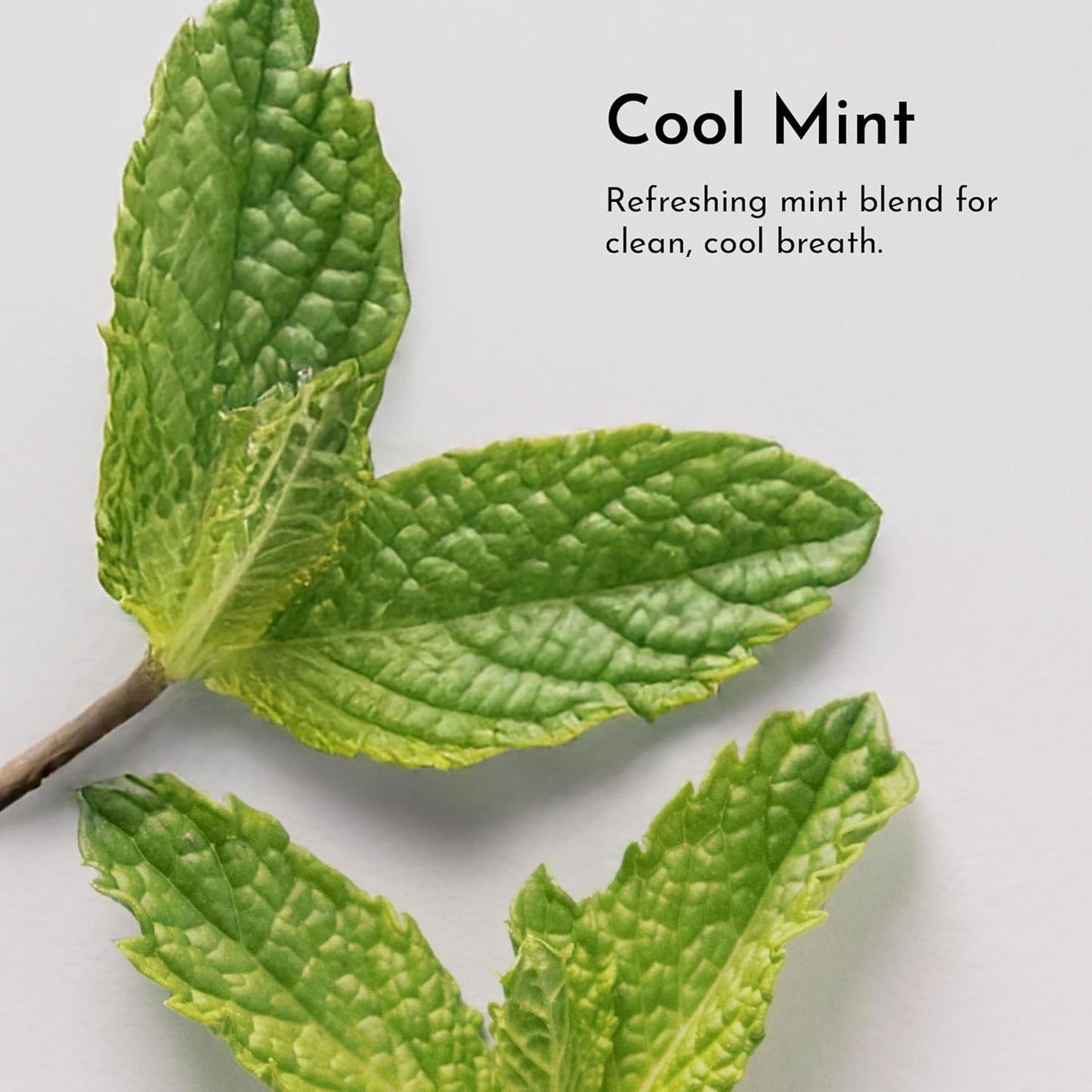 Remineralizing Tooth Powder – Fluoride-Free Natural Oral Care – Gently Cleans & Whitens – Supports Strong Teeth & Fresh Breath – Vegan, Non-GMO, Made with Clean Ingredients (Regular, REMINERALIZING)