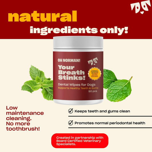 OH NORMAN! Dog Dental Wipes - Vet-Approved Pet Dental Finger Wipes for Oral Hygiene & Fresh Breath - Alternative to Finger Toothbrush for Dogs - No Fuss Dog Cleaning Supplies for Daily Use - 50 pcs