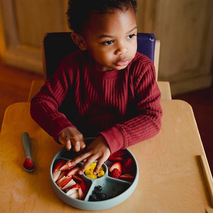 TalkTools Bitsy Silicone Baby Suction Plate with Locking Lid β Divided Plate for Toddlers Learning to Self-Feed β Non-Slip, BPA-Free, Microwave + Dishwasher Safe Baby Mealtime Plate(Cloud).