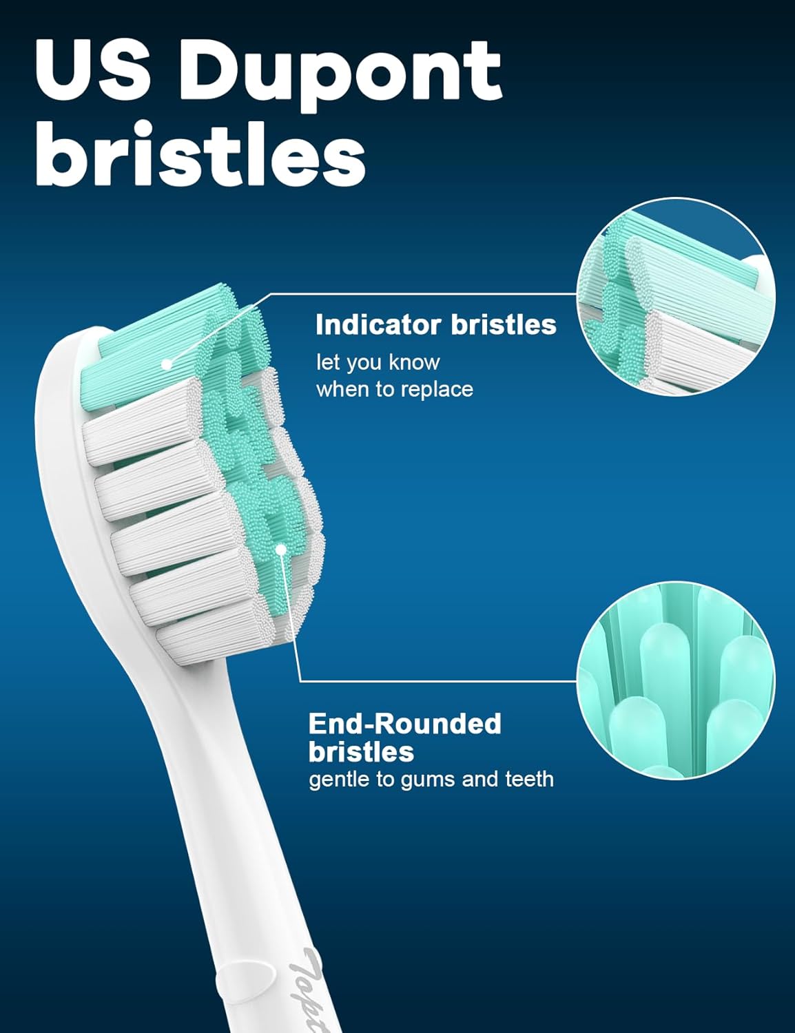 Toothbrush Replacement Heads for Philips Sonicare: Sonic Replacement Heads Compatible with Phillips Electric Toothbrush ProtectiveClean 4100 5100 5300 C2 G2 C1 W, Medium Soft - 8 Pack