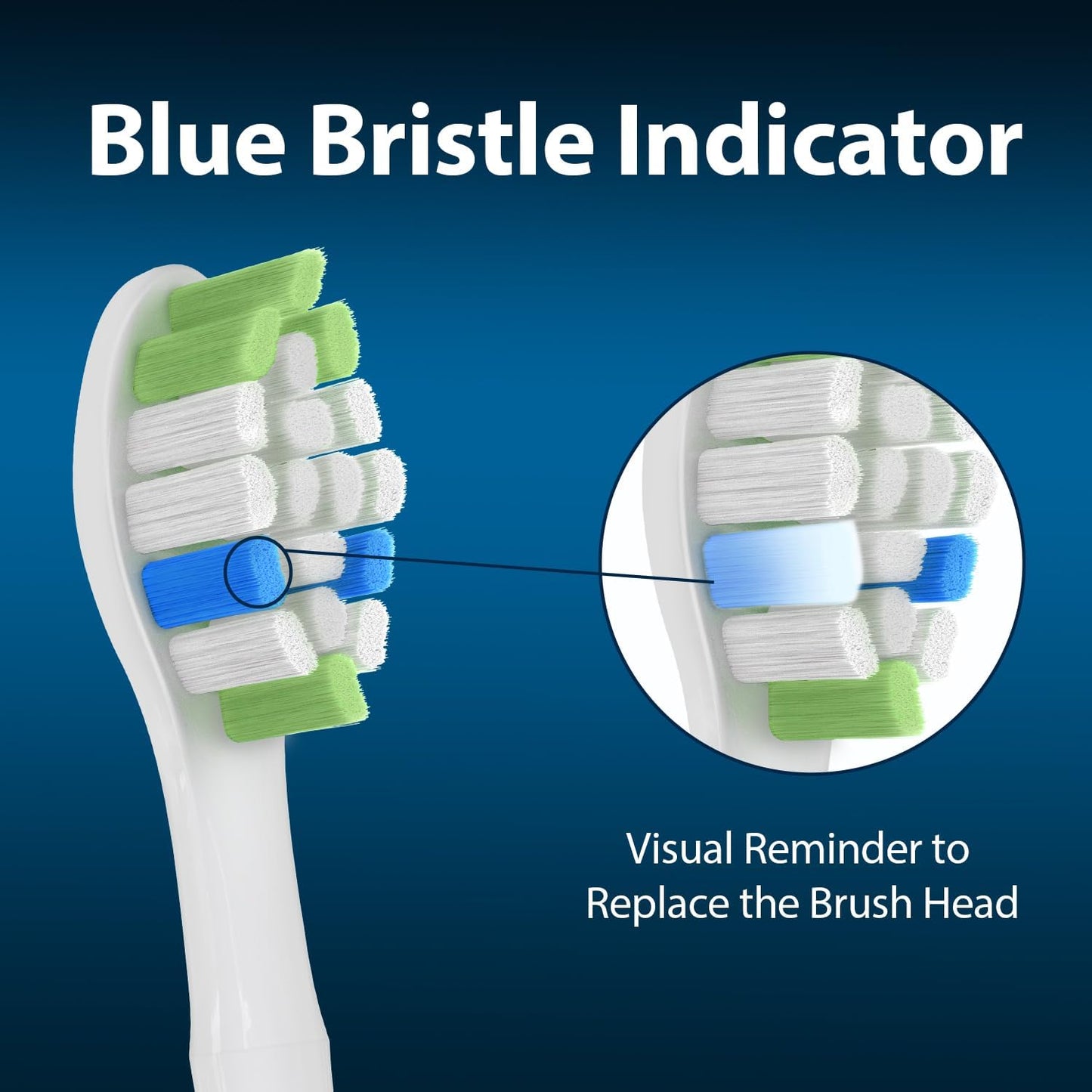 Replacement Toothbrush Heads Compatible with Philips Sonicare, W Brush Head for Phillips Sonicare C-1 C-2 4100 5100 5300 6100 Electric Toothbrushes, White, 12 Count