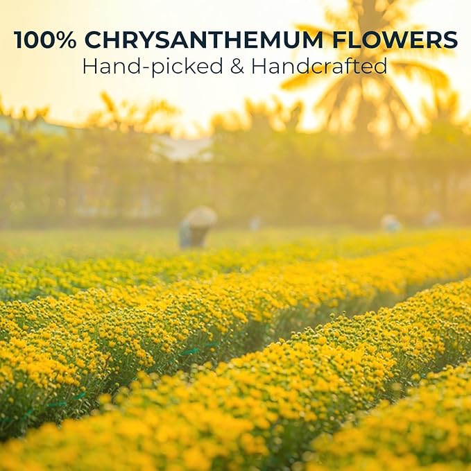 Vietnamese Chrysanthemum Tea Samplers - 10 Count + Bamboo Tong, No Sugar Added, No Caffeine, Re-Steep Chrysanthemum Floral Scent Herbal Tea for Detox, Refreshing, Relax