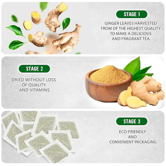 TeadreamTea Ginger Tea Bags - 400 Bleach-Free Tea Bags | Caffeine Free, Antioxidant, Calms Upset Stomach - Strengthen Immune System - Herbal Ginger Tea