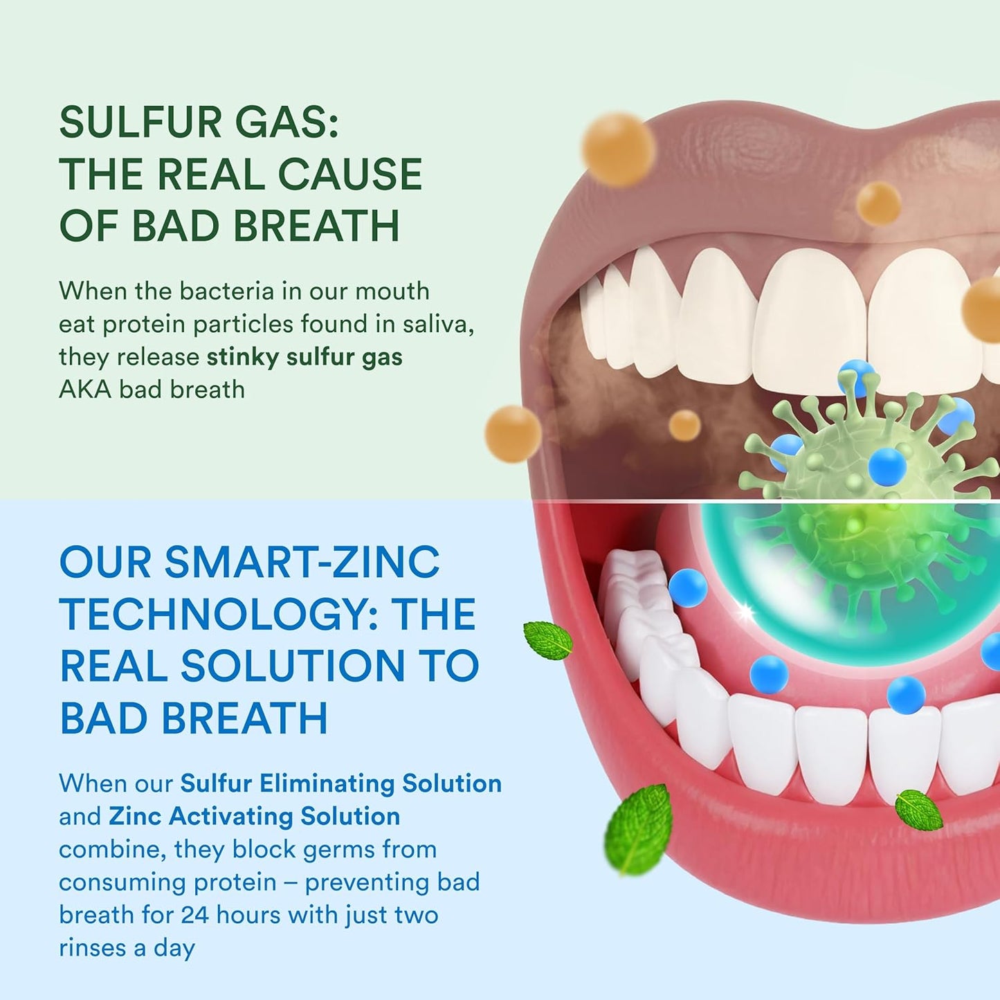 SmartMouth Clinical DDS Activated Mouthwash & Toothpaste, Bad Breath, Bleeding Gums Support
