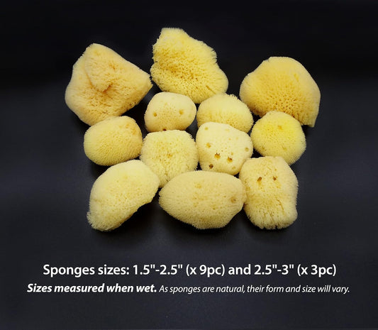 Natural Sea Silk Sponges 12pk: Size 9pc x1.5-2.5" 3pc x 2.5"-3", Like Cotton Balls, for Cosmetic Use, Makeup Application & Removal, Face & Eye Cleaning, with Luxury Gift Bag by Constantia Beauty®