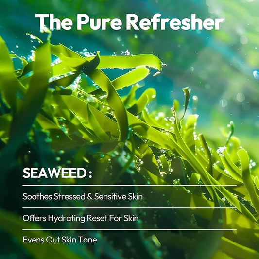 LAPCOS Seaweed Sheet Mask, Daily Face Mask with Hyaluronic Acid to Smooth and Purify Skin, Korean Beauty Favorite, 5-Pack