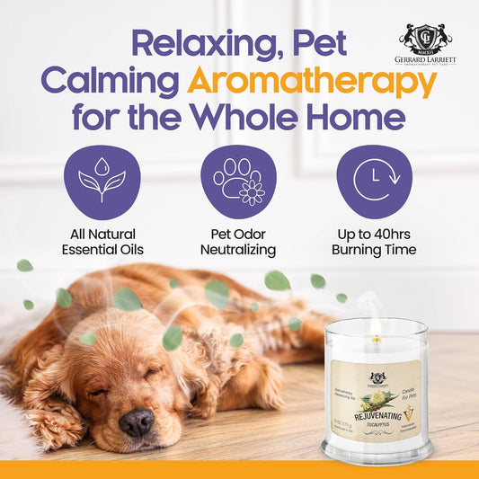 Pet Odor Eliminator Candle Rejuvenating Eucalyptus Scented Candle, Calming Candles Aromatherapy for Home Decor, Soy Wax Pet Candles Odor Eliminator for Animal Lover, Aromatherapy by Gerrard Larriett
