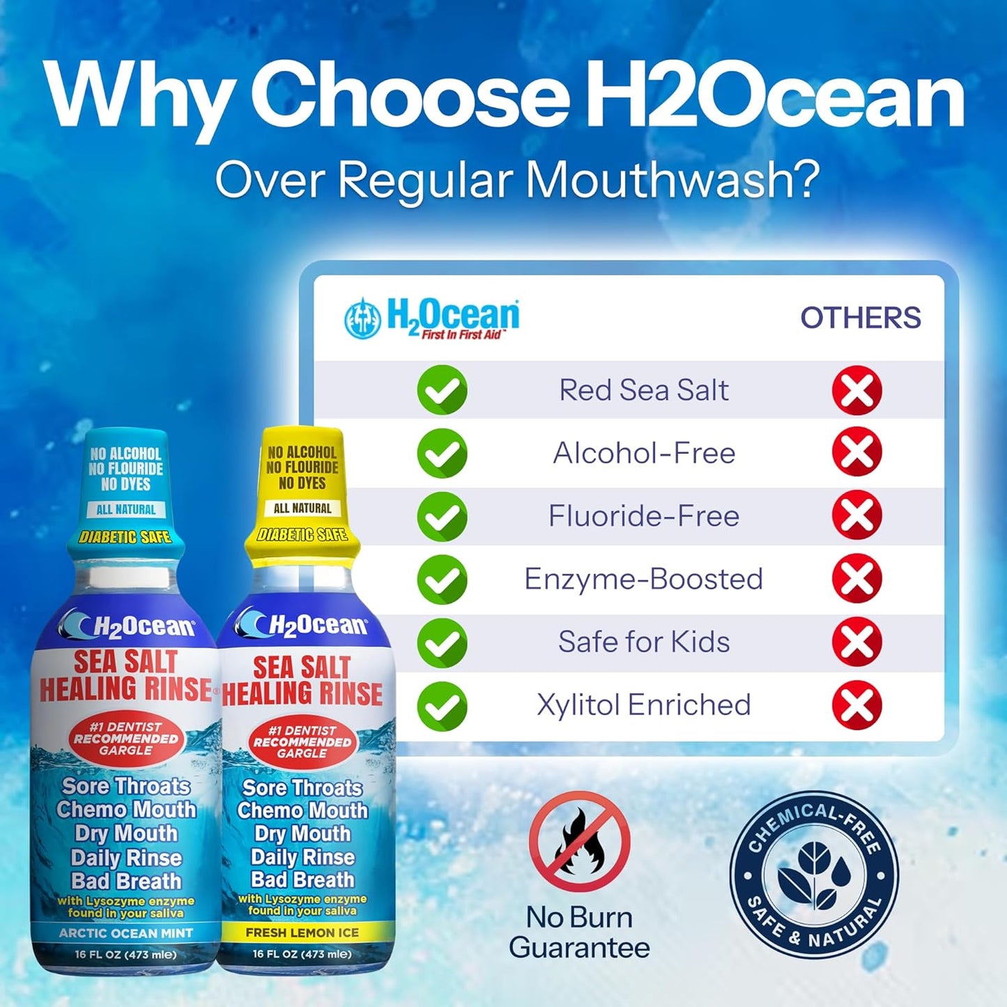 H2Ocean Healing Rinse Mouthwash- Great Tasting Sea Salt & Xylitol Mouth Wash for Fresh Breath & Dry Mouth - Alcohol & Fluoride Free - Arctic Ocean Mint 8oz