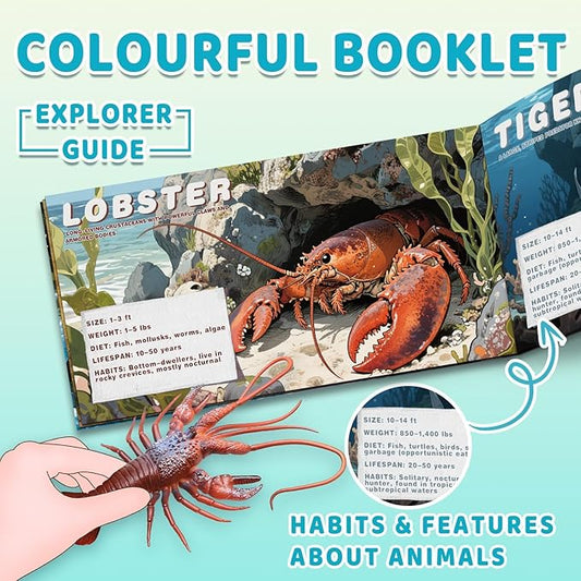 20 Pcs Ocean Animal Toy with Educational Booklet, Plastic Sea Animal with Gift Box, Mini Sea Creature Figures for Kids Age 3+, Birthday Gift, Ocean Theme Party Favor, Water Bath Toy for Toddler