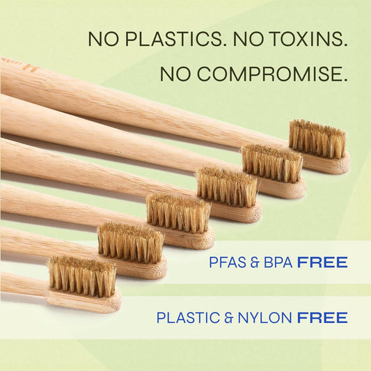 Boar Bristle Bamboo Toothbrush, Made from Natural Boar Hair Bristles, Plastic-Free (Pack of 6)