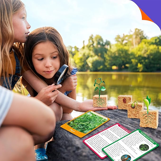 15 Plant Life Circle Flashcards with 4 Plastic Figurines-Seed to Plant, Plants Introduction Card Plants Growth Details for Nature Lovers & Adults, Montessori Toy for Kids