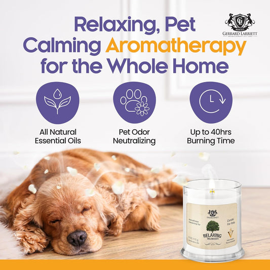Pet Odor Eliminator Candle Relaxing Wildwoods Scented Candle, Calming Candles Aromatherapy for Home Decor, Soy Wax Pet Candles Odor Eliminator for Animal Lover, Aromatherapy by Gerrard Larriett