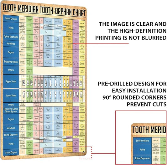 JIUFOTK Dentist Knowledge Posters Metal Signs Tooth Meridian Tooth-Orphan Chart Vintage Plaque Dental Room Decor Club Office Bathroom Wall Decor 12x16 Inches