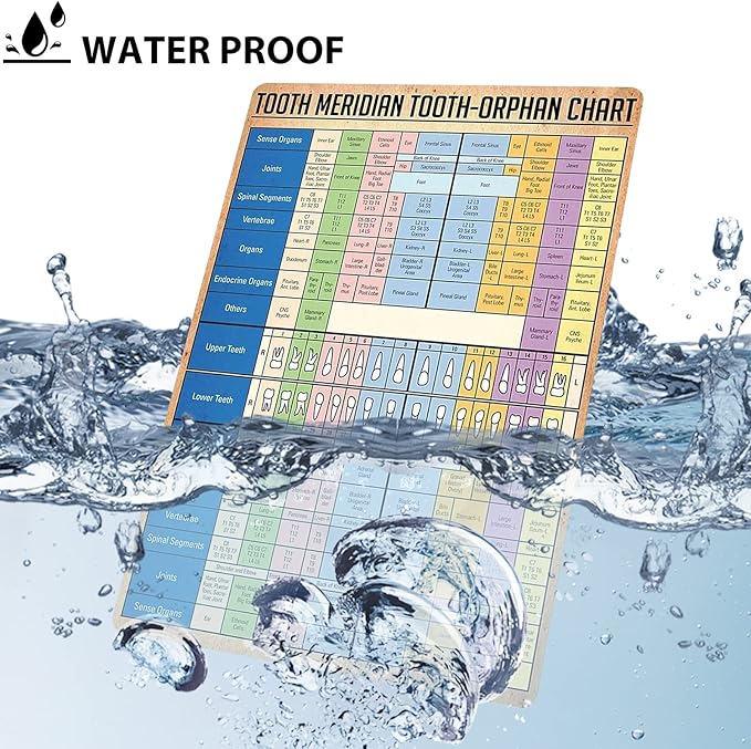 JIUFOTK Dentist Knowledge Posters Metal Signs Tooth Meridian Tooth-Orphan Chart Vintage Plaque Dental Room Decor Club Office Bathroom Wall Decor 12x16 Inches