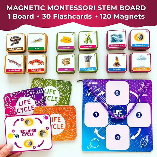 QUOKKA Life CycleToys for Kids - 30 Flashcards Toddler Science Kit Ages 2-4 - Pre-k Plant Animals Nature Learning Materials 3-5 - 120 Magnetic Flash Cards for Preschool and School (Part 2)