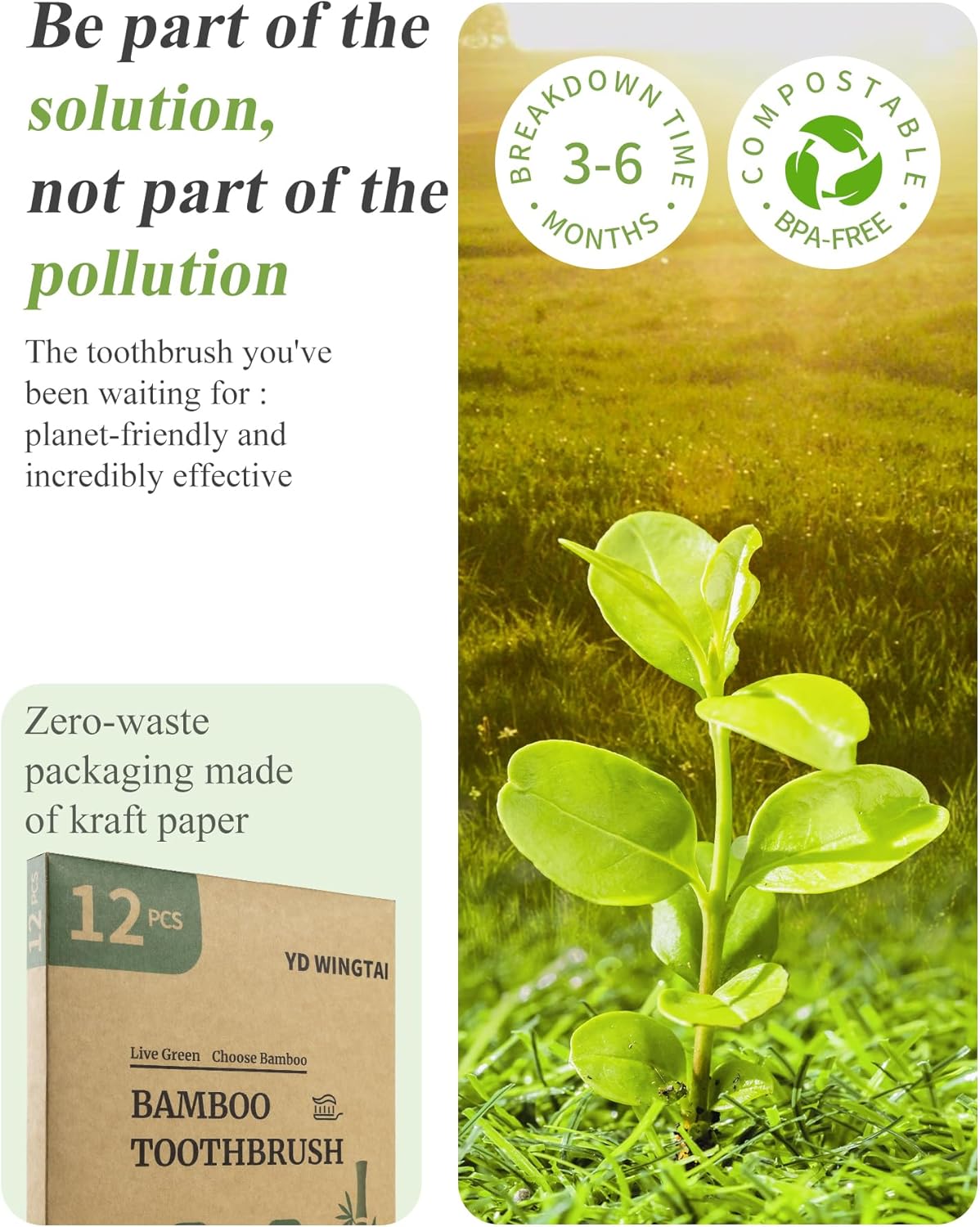 Biodegradable Bamboo Toothbrushes 12pack Non Plastic Toothbrush Natural Wooden Travel Size Organic Charcoal Tooth Brush