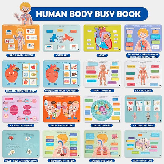 Freebear Montessori Busy Book for Kids, Human Body Anatomy Book for Toddlers, Preshool Kindergarten Learning Activities, Autism Sensory Toys, Gifts for Girls and Boys 4 5 6 7 Years - Human Body System