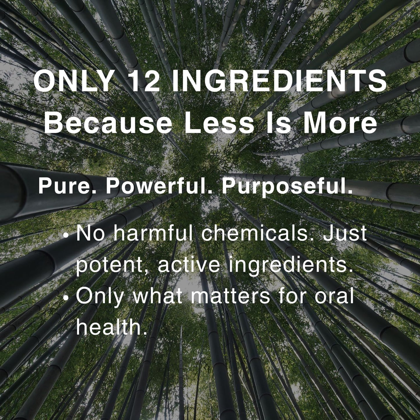 Bamboo Salt Toothpaste with nHA | Fluoride Free, Nano Hydroxyapatite, Remineralizing, Sensitive Teeth, Whitening - Dentist Recommended Oral Care - Pepperming & Pine Flavor, 3 Fl Oz 1 Pk