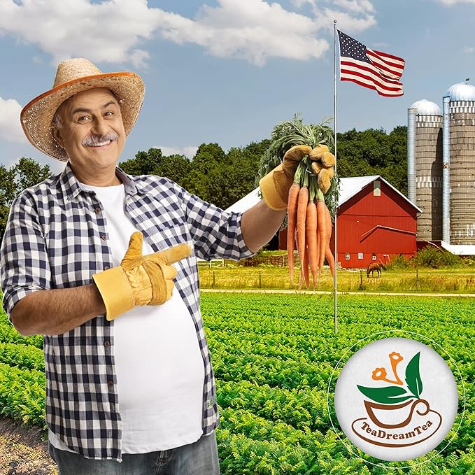 TeaDreamTea – Carrot Hibiscus Rosehip - Loose Leaf Herbal Bulk Tea - Caffeine-Free - Vitamins Rich - Boost Immune System - Carrot Raw from USA - Hot and Iced Tea - 6 ounce / 170 g