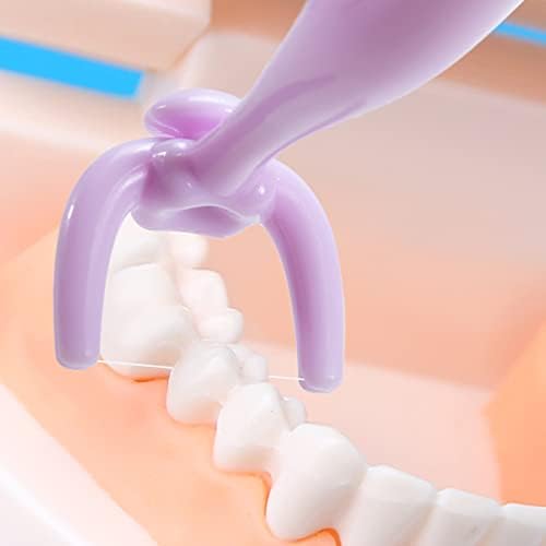 Colorful Design Dental Floss Handle 3 Counts for Adults and Kids Teeth Cleaning Interdental Brush Unflavored Floss Picks floas Holder Reusable Flosser