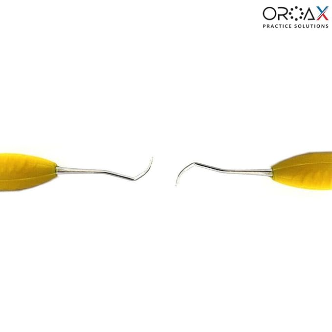 Dental Scaler Anterior Posterior Sickle Scaler 204S Silicone Handle Teeth Checking Hand Tool