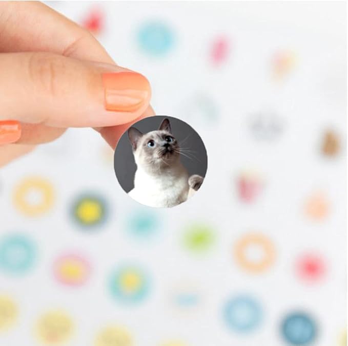 Dog and Cat Stickers for Kids Teachers,1000 Pcs Dog Cat Design Stickers for Kids Birthday Party, School Reward, Giveaways