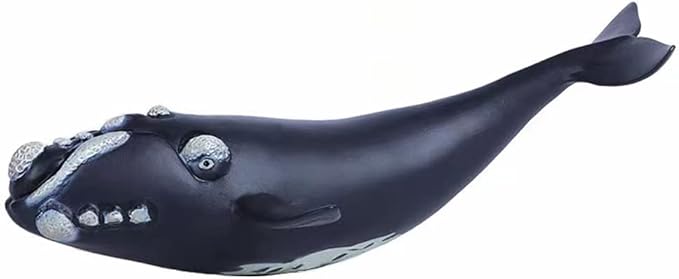 Gemini&Genius Right Whale Action Figure, Shark Animal Ocean Blackfish, Soft Rubber Ocean Whale Shark, Great for Kids Bath Swimming Beach and Cake Toppers Toys