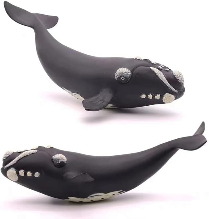 Gemini&Genius Right Whale Action Figure, Shark Animal Ocean Blackfish, Soft Rubber Ocean Whale Shark, Great for Kids Bath Swimming Beach and Cake Toppers Toys