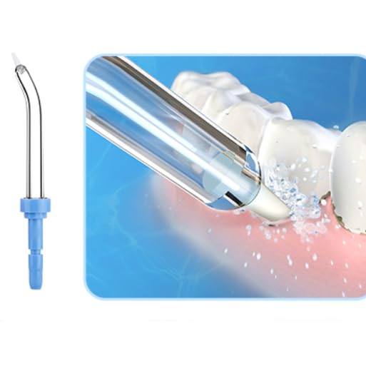 Replacement Heads for Waterpik, Replacement Picks for Water Pik Water Flosser (10 Tips & Storage Case), Water Flosser Replacement Tips for Waterpik WP-663 WP-150 WP-660 WP-580 wp-150w wp667w WP-140