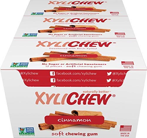 Xylichew 100% Xylitol Chewing Gum - Non GMO, Non Aspartame, Gluten Free, and Sugar Free Gum - Natural Oral Care, Relieves Bad Breath and Dry Mouth - Cinnamon, 288 Count