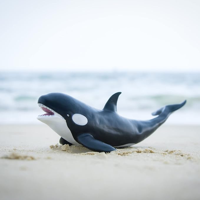 Gemini&Genius Nautical Shark Toy Killer Whale Action Figure, Bathtub Toy, Black, 16 Inches