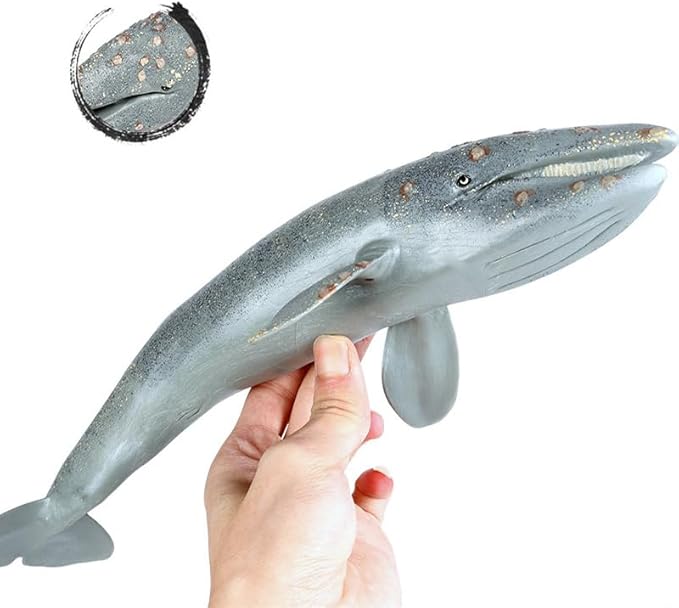 Gemini&Genius Sea Animal Gray Whale, Large Grey Whale Realistic Wildlife Toy Replica Hand Painted Whale Figurine, Ocean Model Toy, Educational, Role Play, Swim, Bath and Collectors for Kids