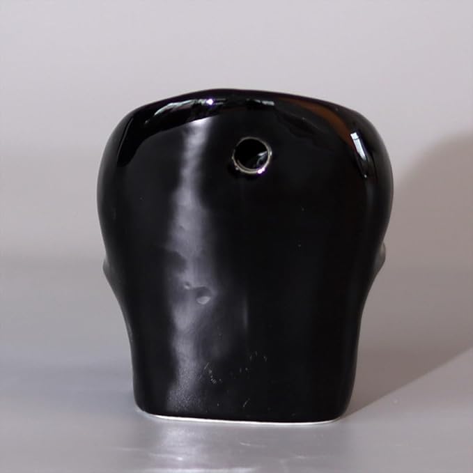 Skull-Shaped Toothbrush Holder, Skull Ceramic Small Storage Tube, Skull Pen Holder, Skull Succulent Flower Pot, Creative Decoration, Wall-Mounted Small Storage Tube (Black Skull)