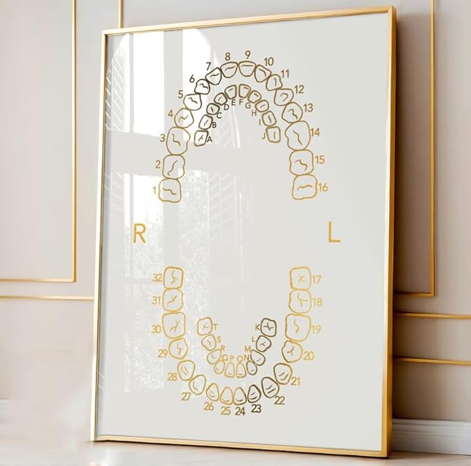 NATVVA 3 Pieces Wall Art Prints Dental Anatomy Poster Tooth Structure Pictures Teeth Numbering System Canvas Wall Painting for Dentist Office Decoration with Inner Frame