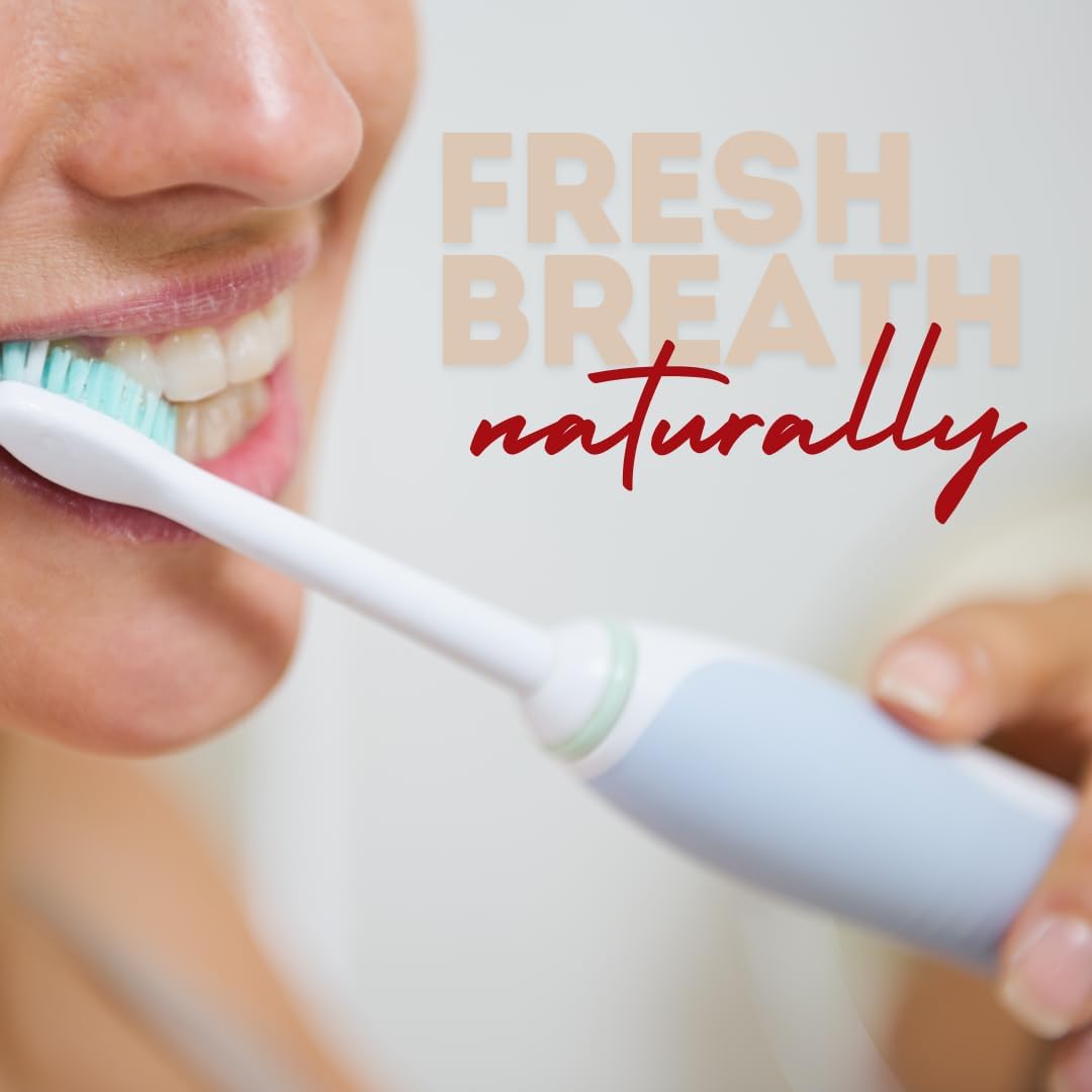 Red Seal Propolis Herbal & Mineral Natural Toothpaste - Mild Mint - Fluoride Free, Organic Toothpaste, NATRUE Certified Natural - Natural Gum Health, No Artificial Flavors, Cruelty-Free, 3.53 oz