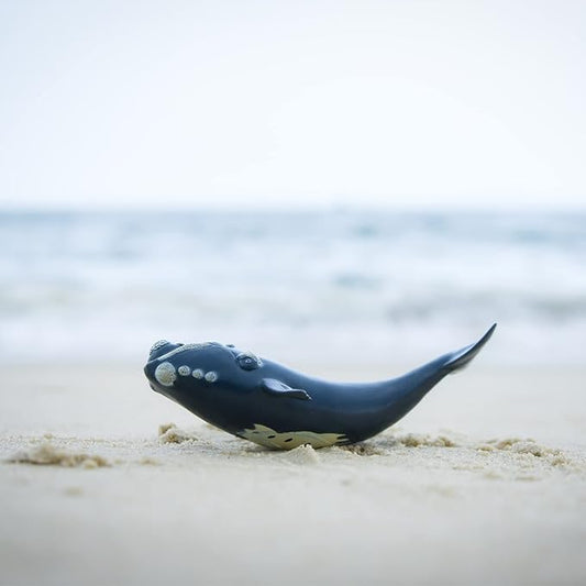Gemini&Genius Right Whale Action Figure, Shark Animal Ocean Blackfish, Soft Rubber Ocean Whale Shark, Great for Kids Bath Swimming Beach and Cake Toppers Toys