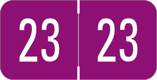 2023 Year Stickers, Doctor Stuff 2023 Chart Stickers, Purple GBS/VRE Style, USA Made Year Labels for End Tab File Folders, 500 Labels/Roll in a Dispenser Box, 3/4" x 1-1/2"