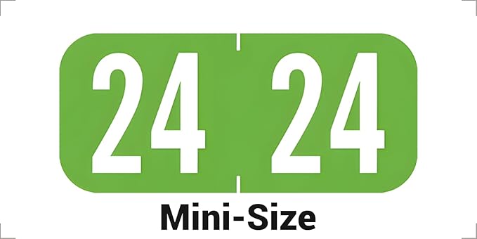 MINI 2024 Year Stickers, Doctor Stuff 2024 Chart Stickers, Light Green Color Coded, Tab 1287 Style, USA Made Year Labels for End Tab File Folders, 500/Roll, 1 Roll, 1/2" x 1-1/8"