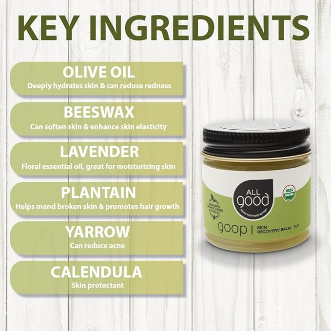 All Good Goop Organic Skin Care Recovery Balm - All Purpose Ointment w/Calendula, Lavender, Beeswax - Chafing Cream, Dry Skin Salve, Cracking Lip Moisturizer - Soothes, Hydrates & Calms - 1oz, 2-pack