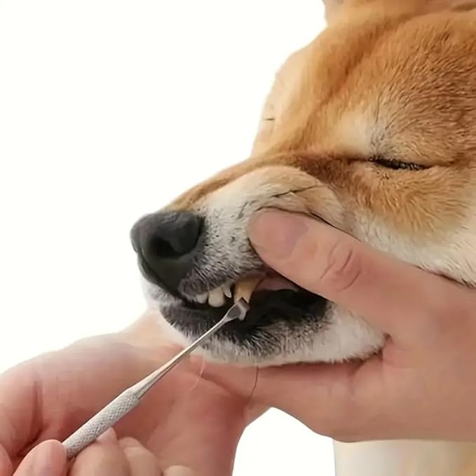 Stainless Steel Dental Kit - 6 Pack Dental Tools with Tooth Mirror, Dental Hygiene Kit for Adults, Kids, Dogs with Mirror, Picks, Travel Case (Blue)