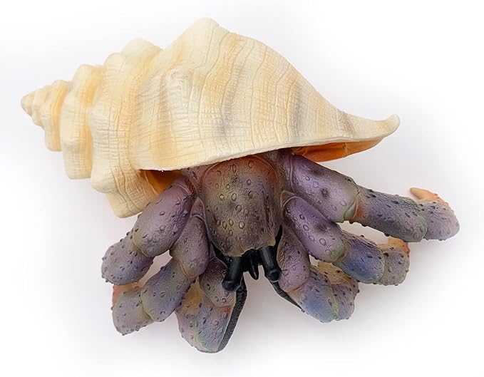 Gemini&Genius Sea Animal Hermit Crab Action Figure Toy for Kids, Soft Rubber Realistic Ocean Crab Educational and Role Play Toys for Kids and Collectors, Great Swimming and Bath Toys (Hermit Crab)